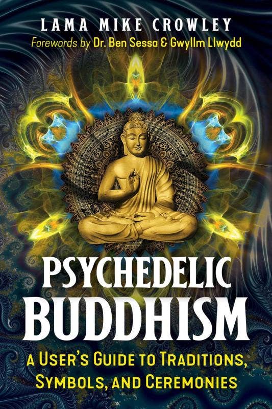 Psychedelic Buddhism: A User’s Guide to Traditions