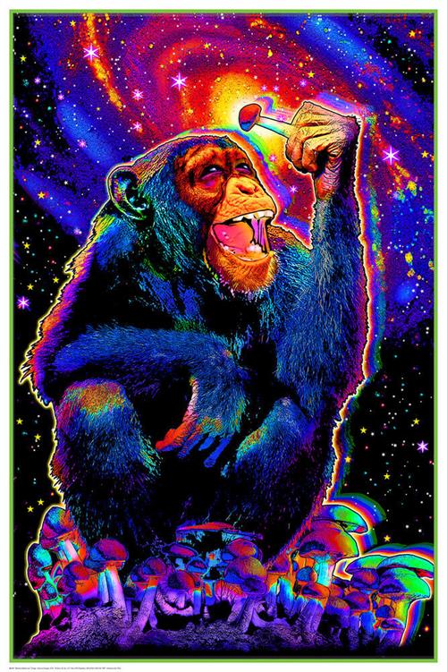 Monkey Mushroom Non Flocked Blacklight Poster - Image 2