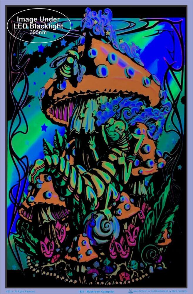 Mushroom/Caterpillar Flocked Blacklight Poster - Image 2