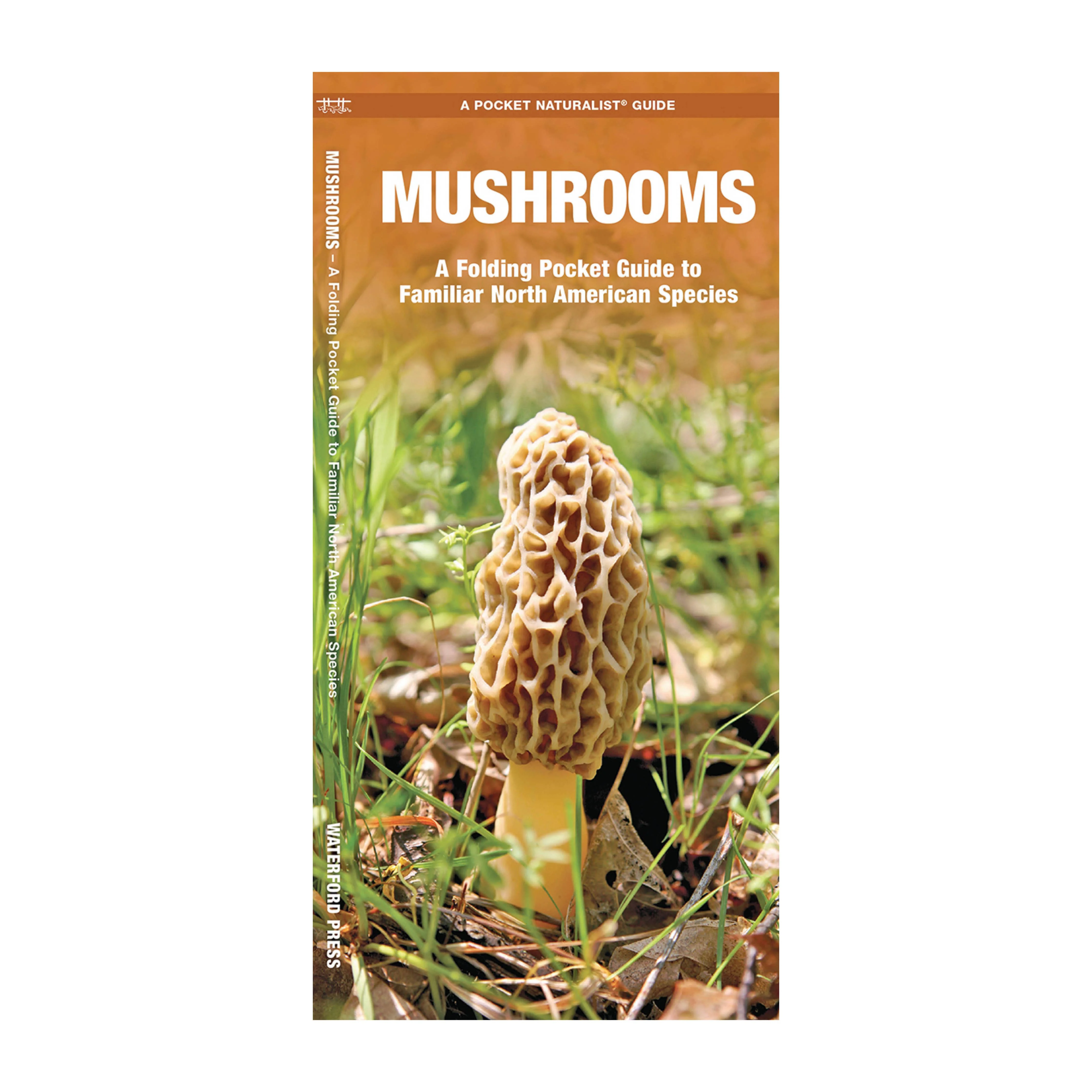 Mushrooms