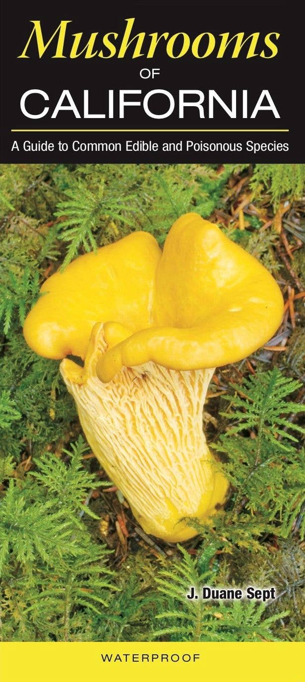 Mushrooms of California