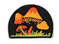PATCH OF SHROOMS