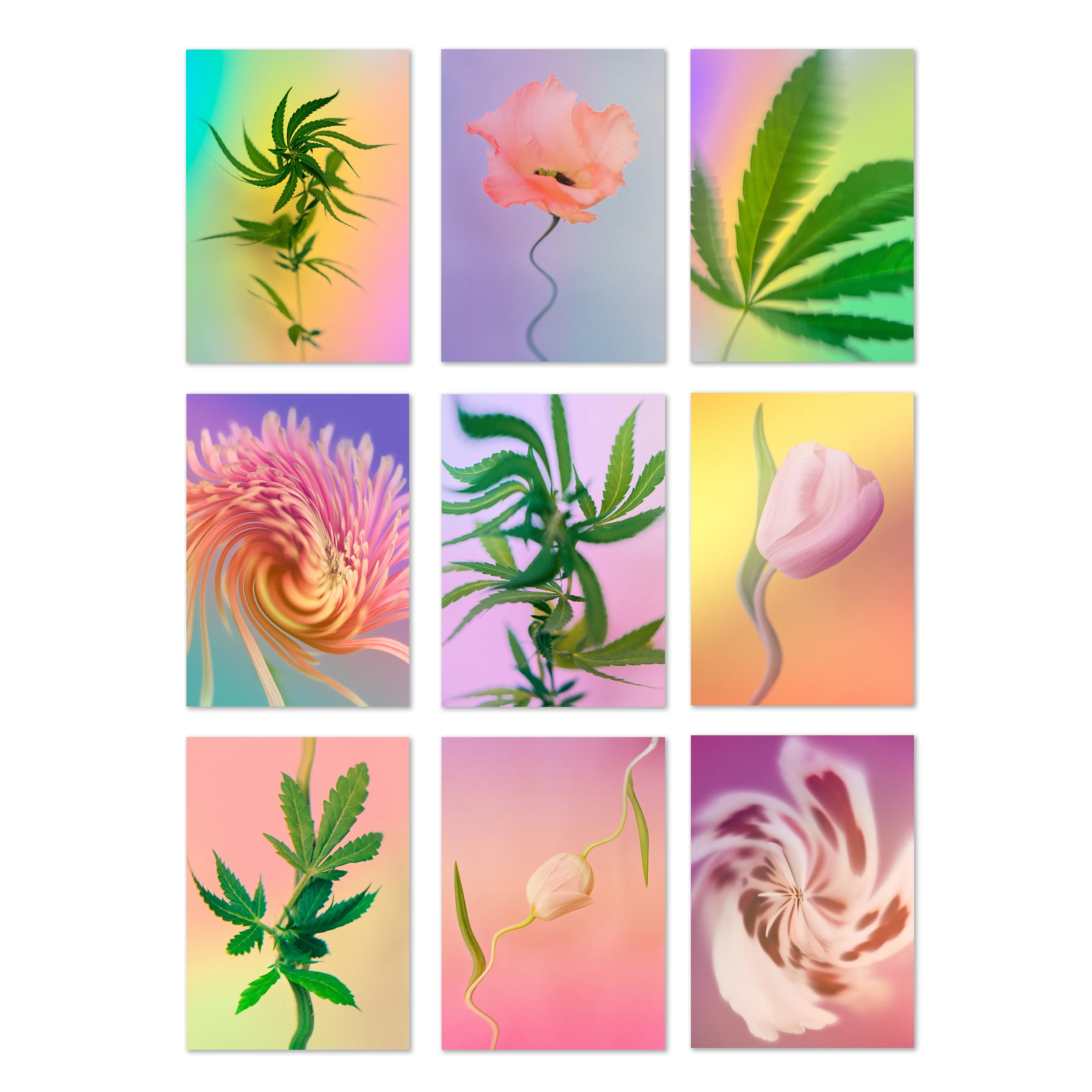 Psychedelic Fleurs Postcard Print Set