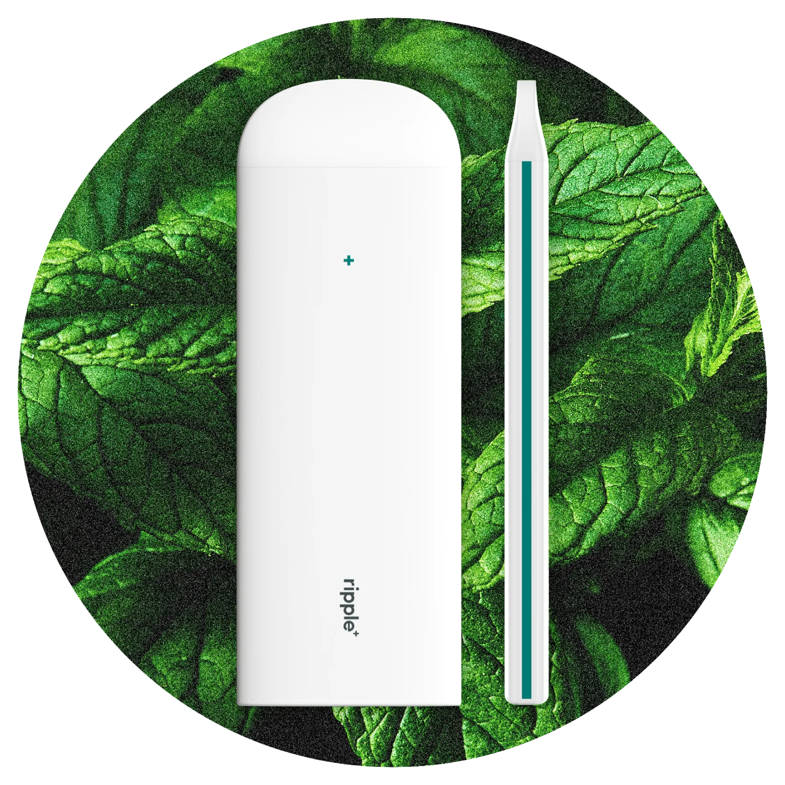 Ripple+ Power - Peppermint Zero Nicotine Diffuser - 1,000 Puffs: 40g - Image 7
