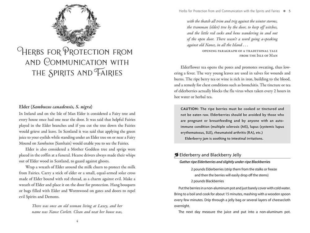 Sacred Herbs of Samhain: Plants to Contact the Spirits - Image 3
