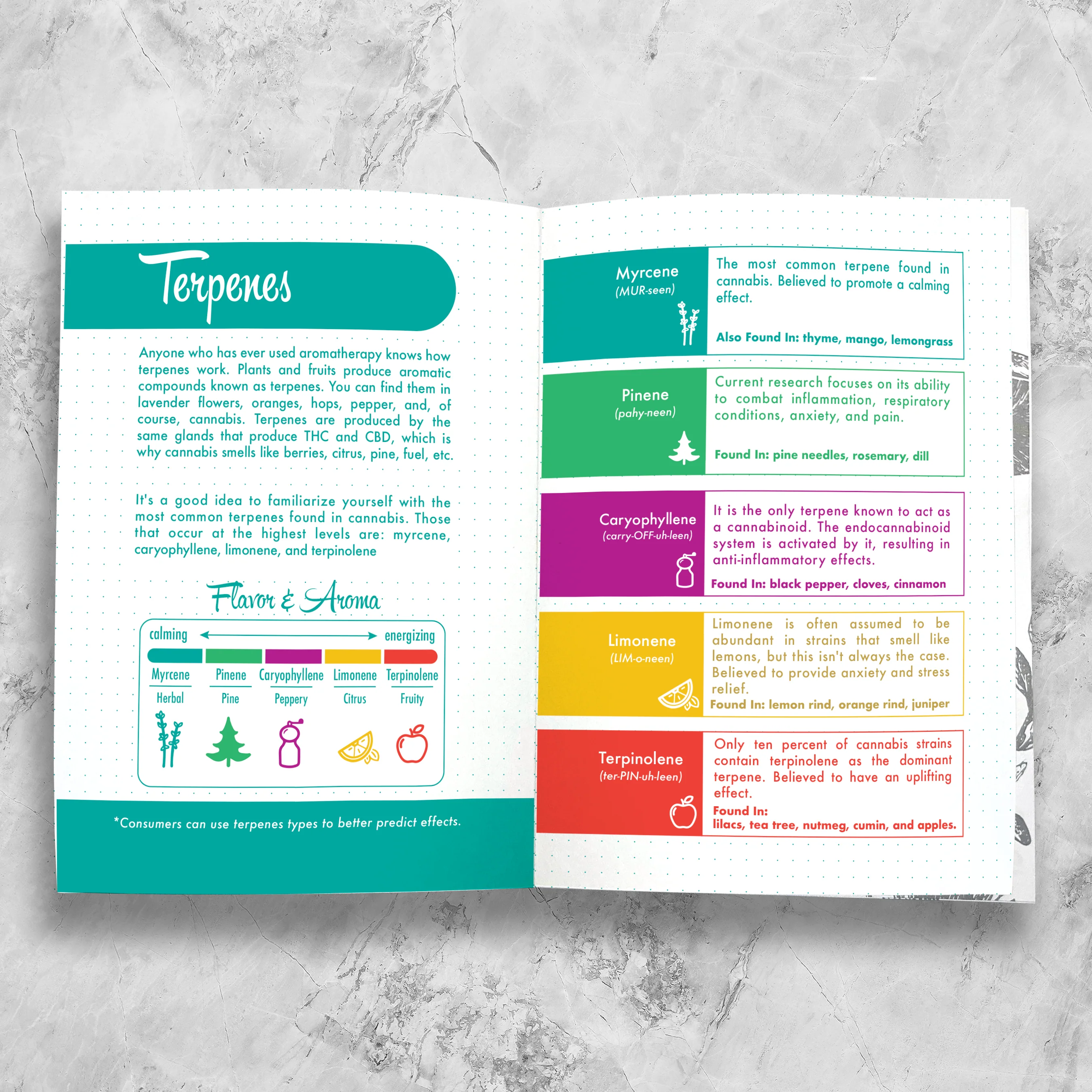 Set And Setting Stationery - Cannabis / CBD Journal 100pg Log: (Sage and Green) - Image 6