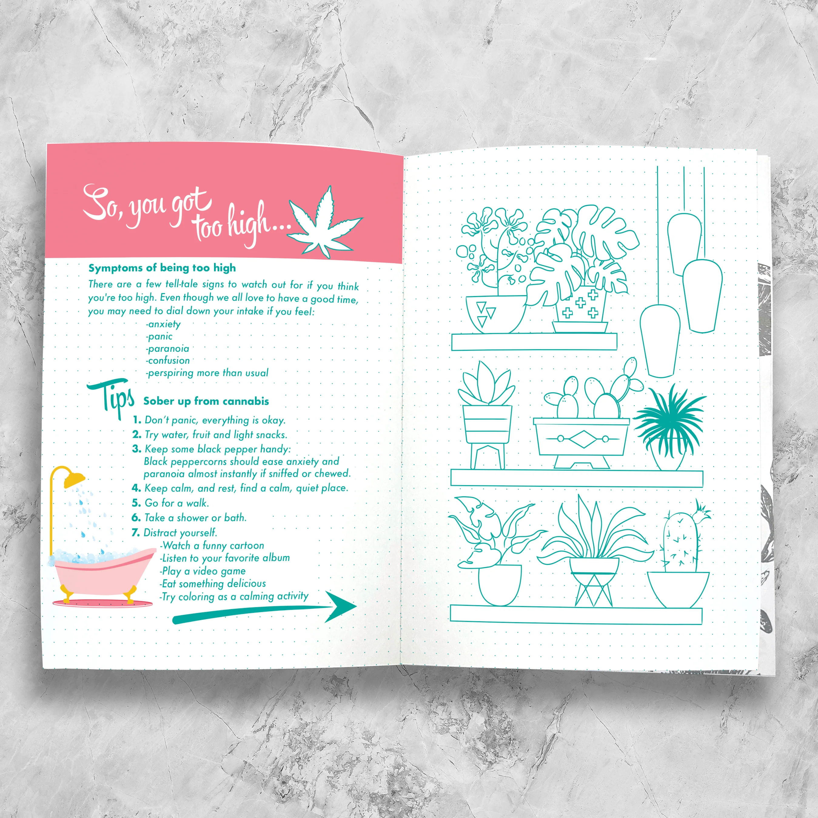 Set And Setting Stationery - Cannabis / CBD Journal 100pg Log: (Sage and Green) - Image 7