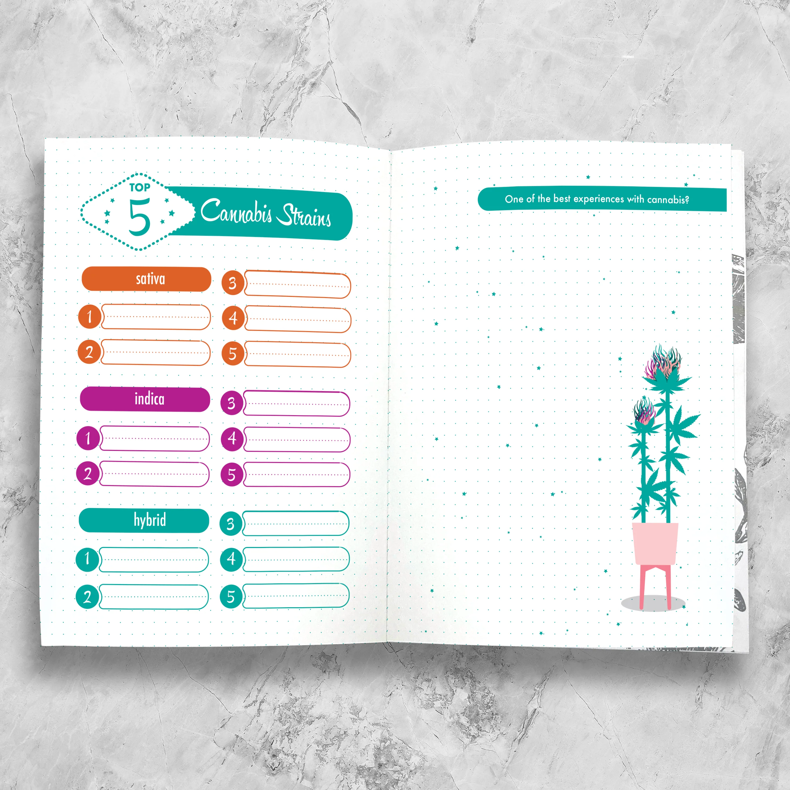 Set And Setting Stationery - Cannabis / CBD Journal 100pg Log: (Sage and Green) - Image 9