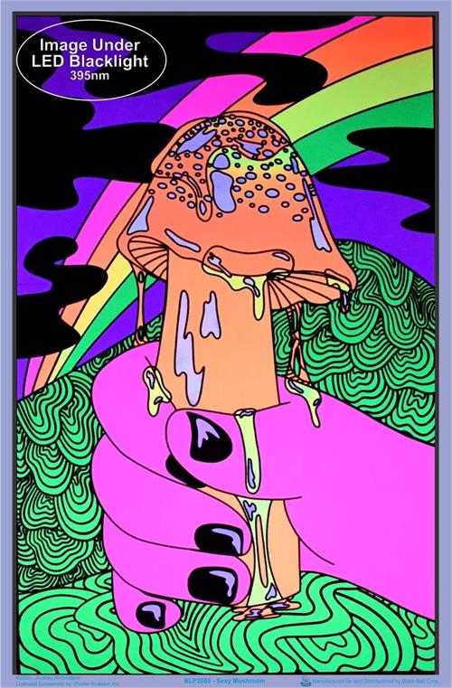 Sexy Mushroom - Image 2