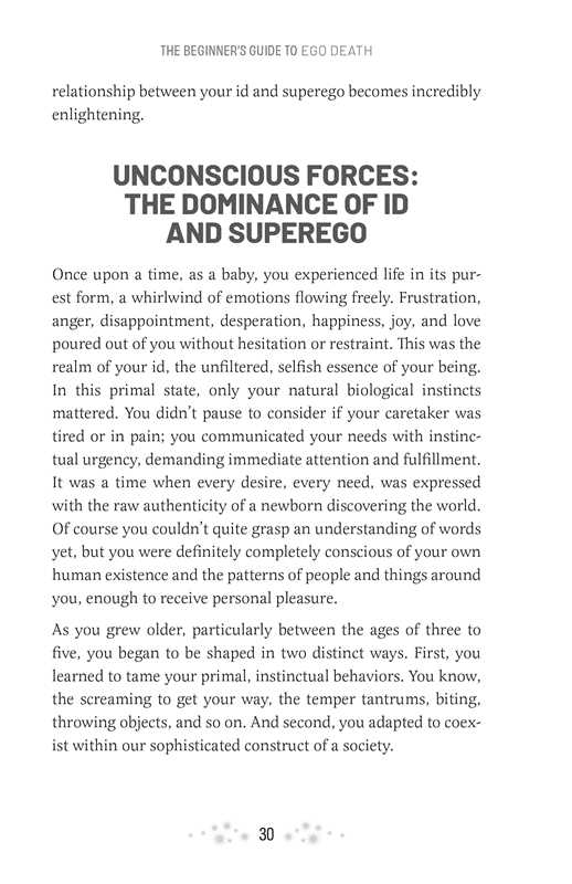 Beginner's Guide to Ego Death by AJ Murillo - Image 3