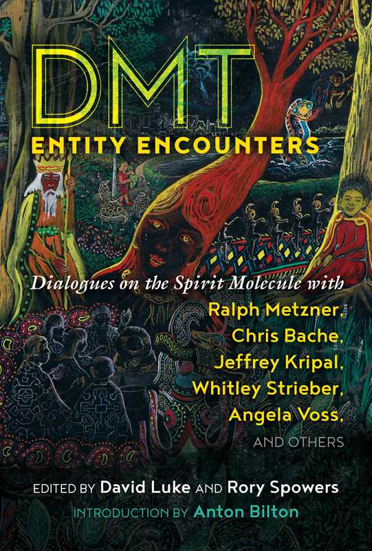 DMT Entity Encounters by: Paperback; 384 pages / English