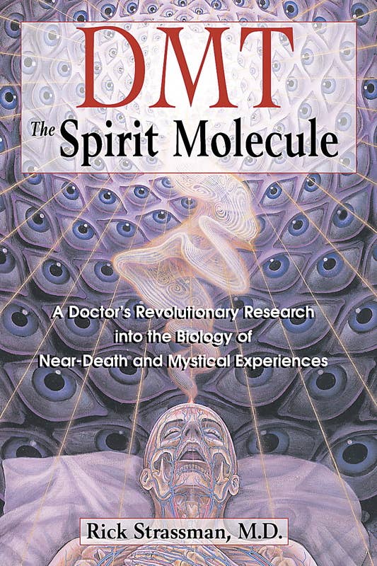 DMT: The Spirit Molecule by Rick Strassman: Paperback; 384 pages / English