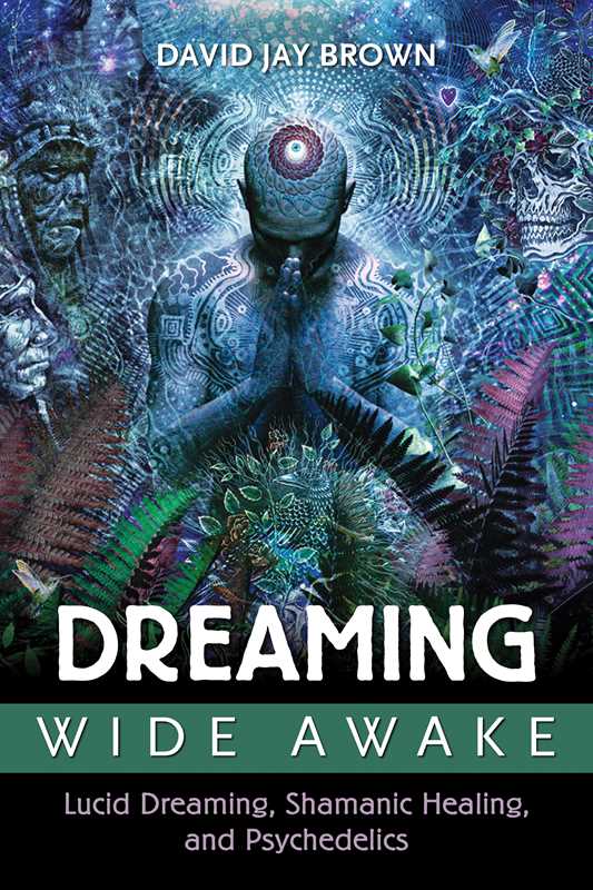 Dreaming Wide Awake by David Jay Brown: Paperback; 416 pages / English