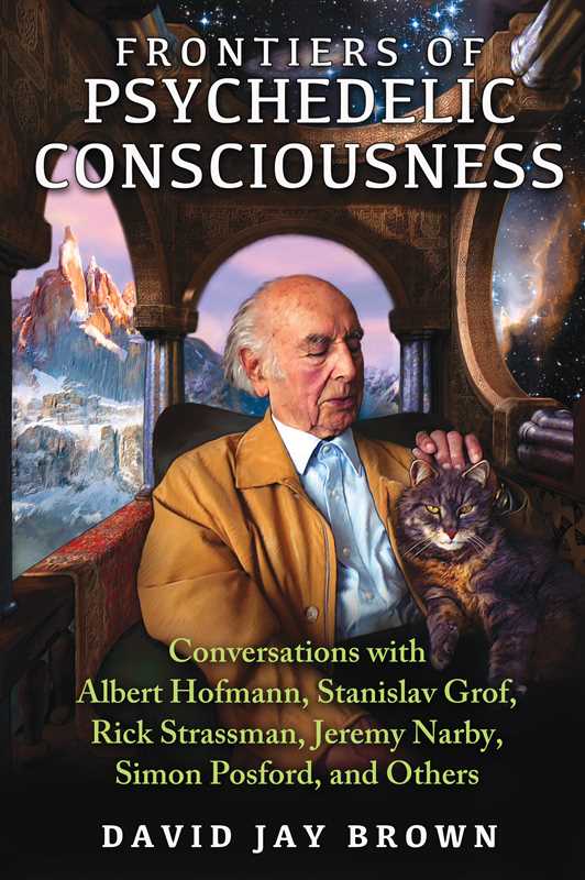 Frontiers of Psychedelic Consciousness by David Jay Brown: Paperback; 288 pages / English