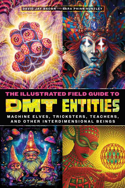 Illustrated Field Guide to DMT Entities by David Jay Brown