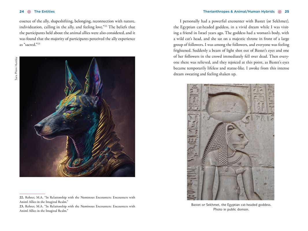 Illustrated Field Guide to DMT Entities by David Jay Brown - Image 10