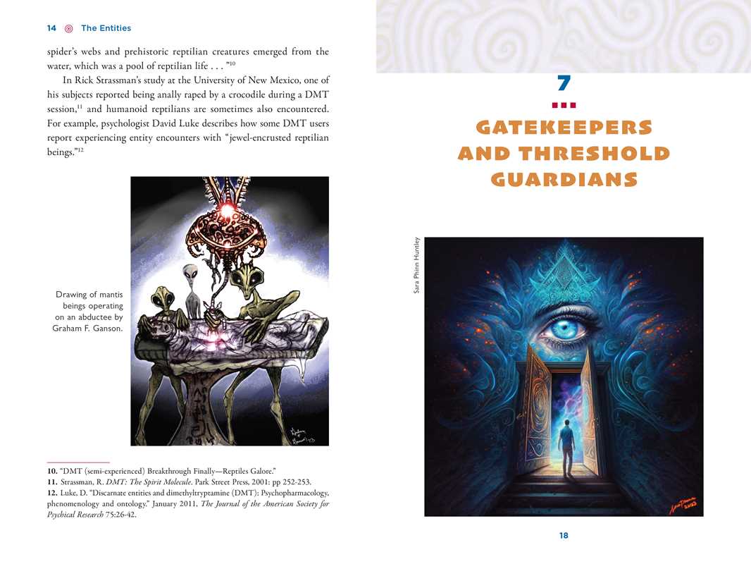Illustrated Field Guide to DMT Entities by David Jay Brown - Image 6