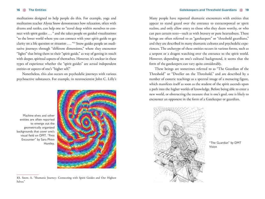 Illustrated Field Guide to DMT Entities by David Jay Brown - Image 7