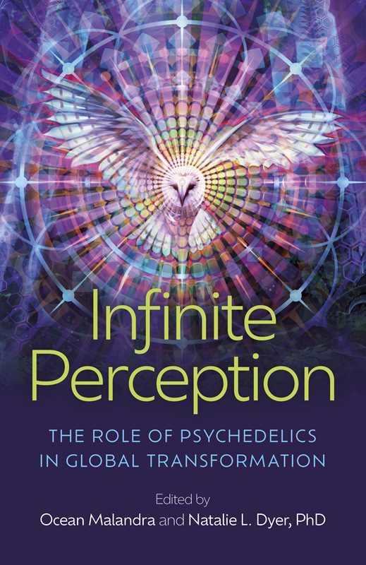 Infinite Perception Book by Natalie L. Dyer, Phd and Ocean Malandra
