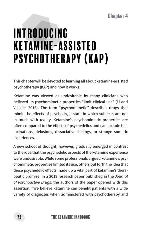 Ketamine Handbook by Janelle  Lassalle: Paperback; 114 pages / English - Image 7