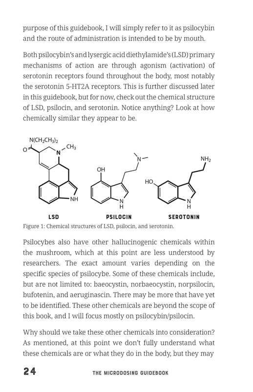 Microdosing Guidebook by C. J. Spotswood - Image 3