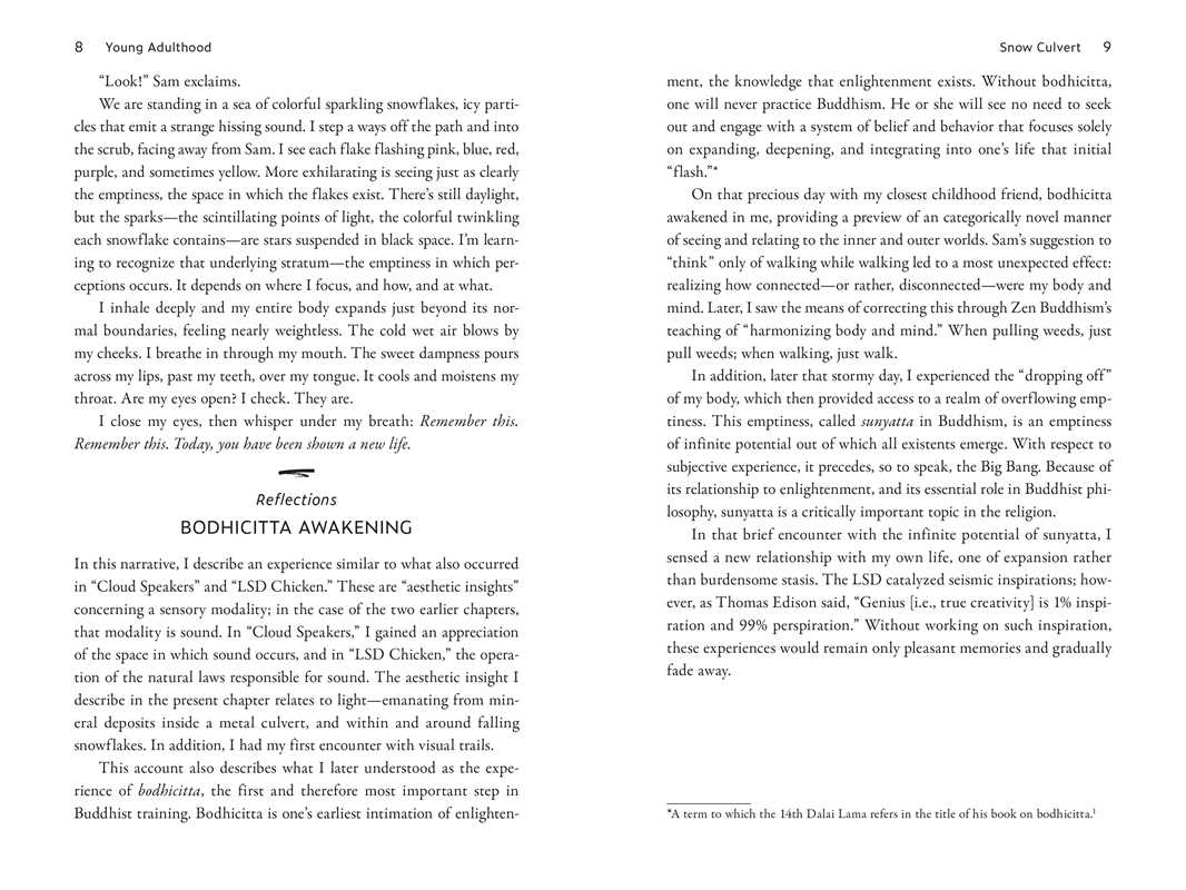 My Altered States by Rick Strassman - Image 5
