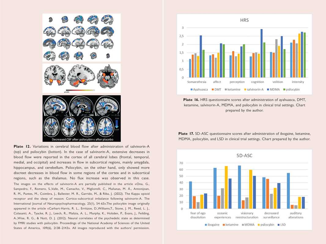 Neuroscience of Psychedelics by Genís Ona: Paperback; 264 pages / English - Image 10