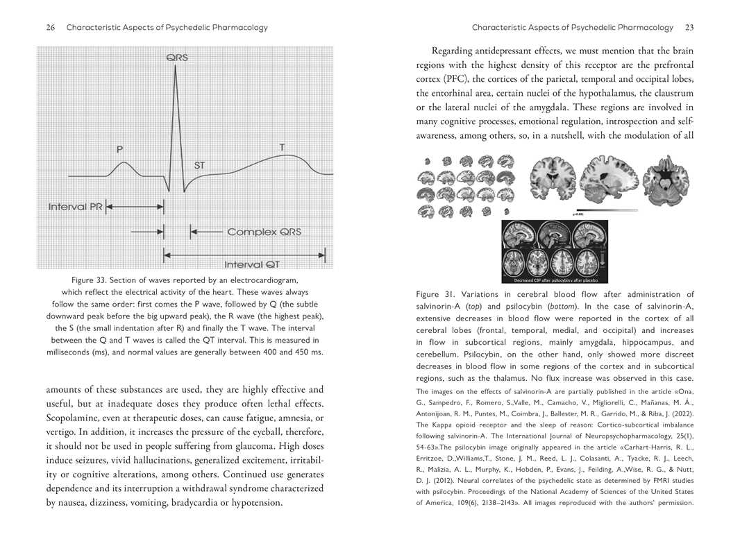 Neuroscience of Psychedelics by Genís Ona: Paperback; 264 pages / English - Image 7