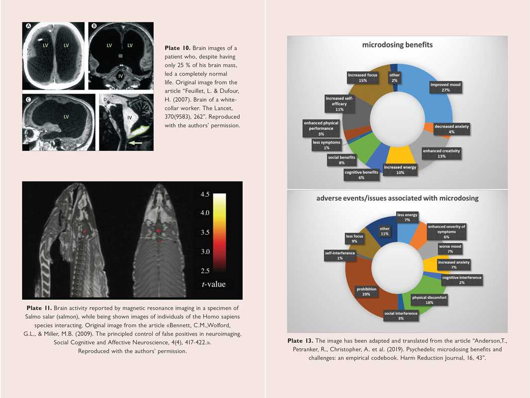 Neuroscience of Psychedelics by Genís Ona: Paperback; 264 pages / English - Image 9