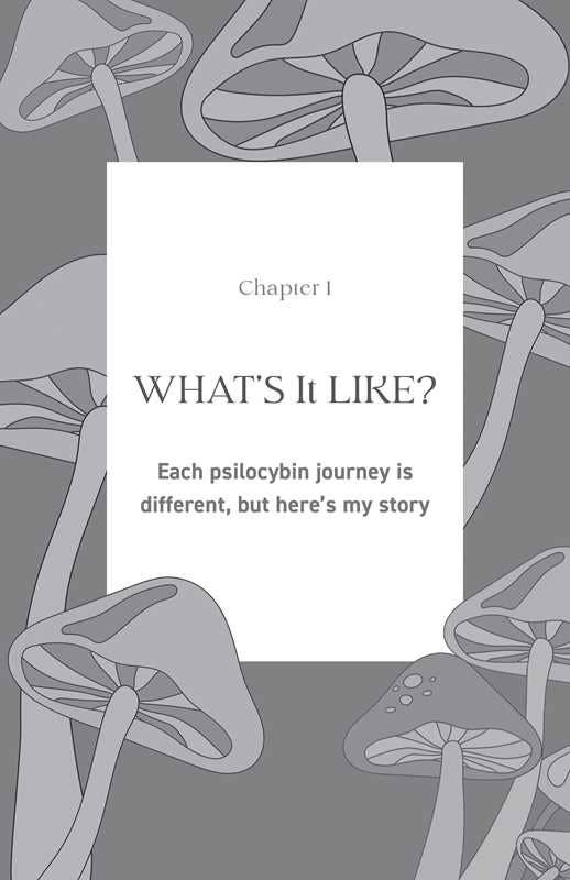 Psilocybin Handbook for Women by Jennifer  Chesak - Image 3