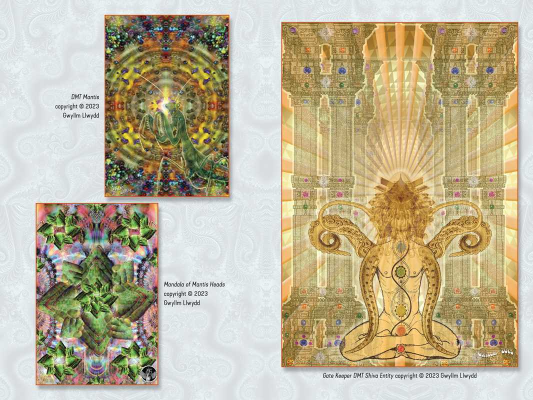 Psychedelic Buddhism by Lama Mike Crowley - Image 5
