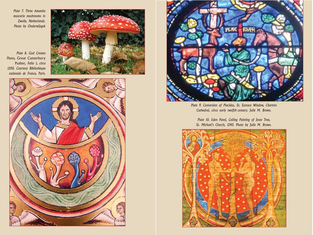 Psychedelic Gospels by Jerry B. Brown: Paperback; 288 pages / English - Image 6