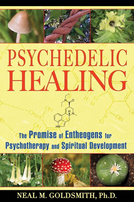 Psychedelic Healing by Neal M. Goldsmith: Paperback; 256 pages / English