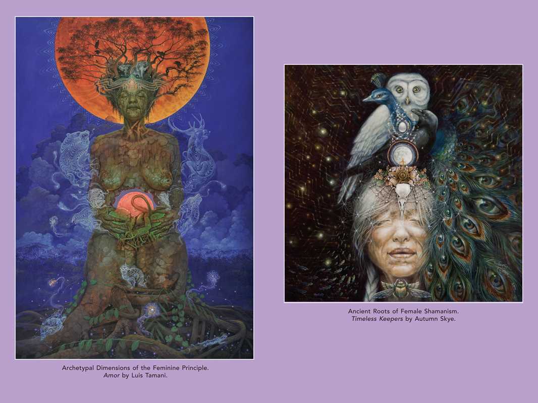 Psychedelic Mysteries of the Feminine by: Paperback; 368 pages / English - Image 2