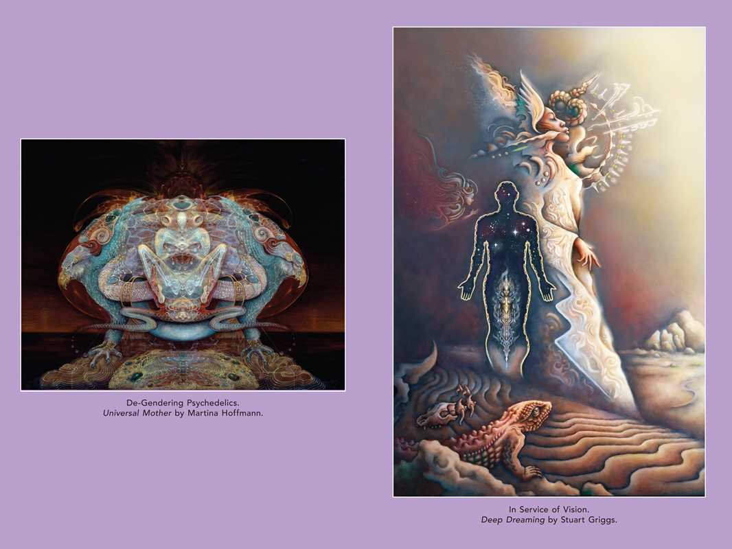 Psychedelic Mysteries of the Feminine by: Paperback; 368 pages / English - Image 4