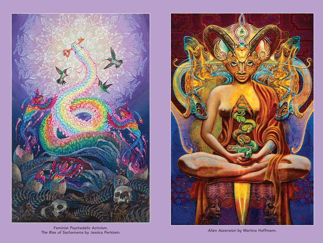 Psychedelic Mysteries of the Feminine by: Paperback; 368 pages / English - Image 5