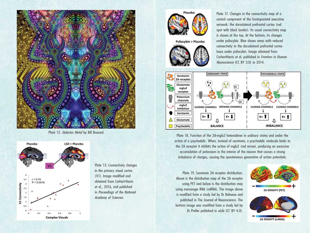 Psychedelics and Mental Health by Irene de Caso - Image 10