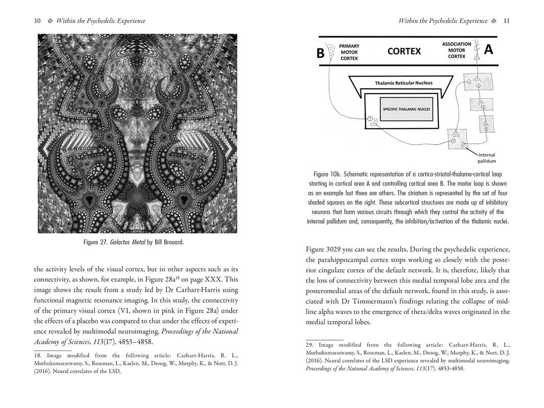 Psychedelics and Mental Health by Irene de Caso - Image 6