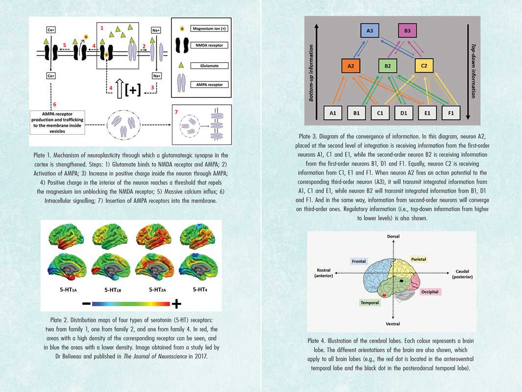 Psychedelics and Mental Health by Irene de Caso - Image 8