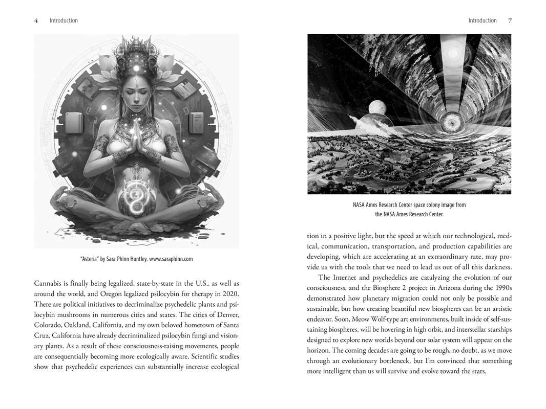 Psychedelics and the Coming Singularity by David Jay Brown: Paperback; 400 pages / English - Image 4