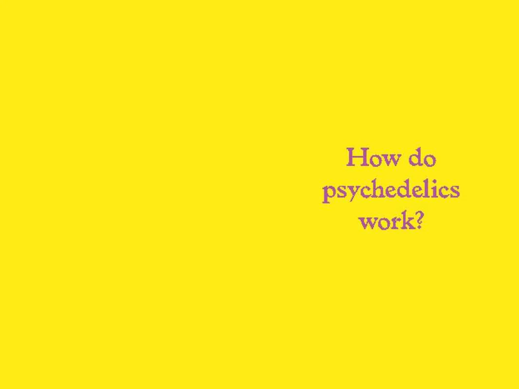Psychedelics by Mattha Busby - Image 2