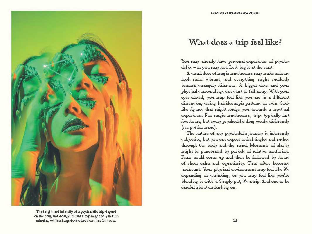 Psychedelics by Mattha Busby - Image 3