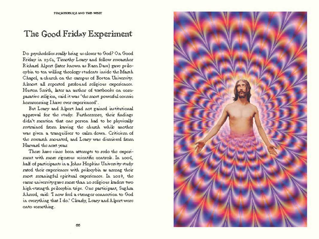 Psychedelics by Mattha Busby - Image 4