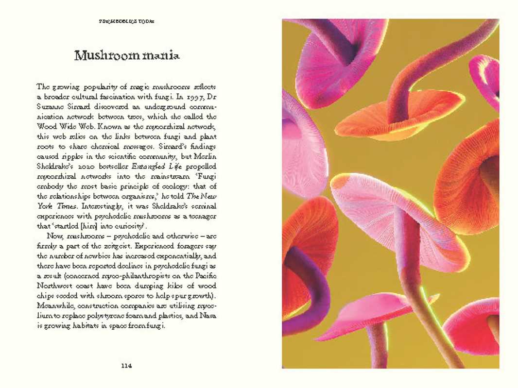 Psychedelics by Mattha Busby - Image 6