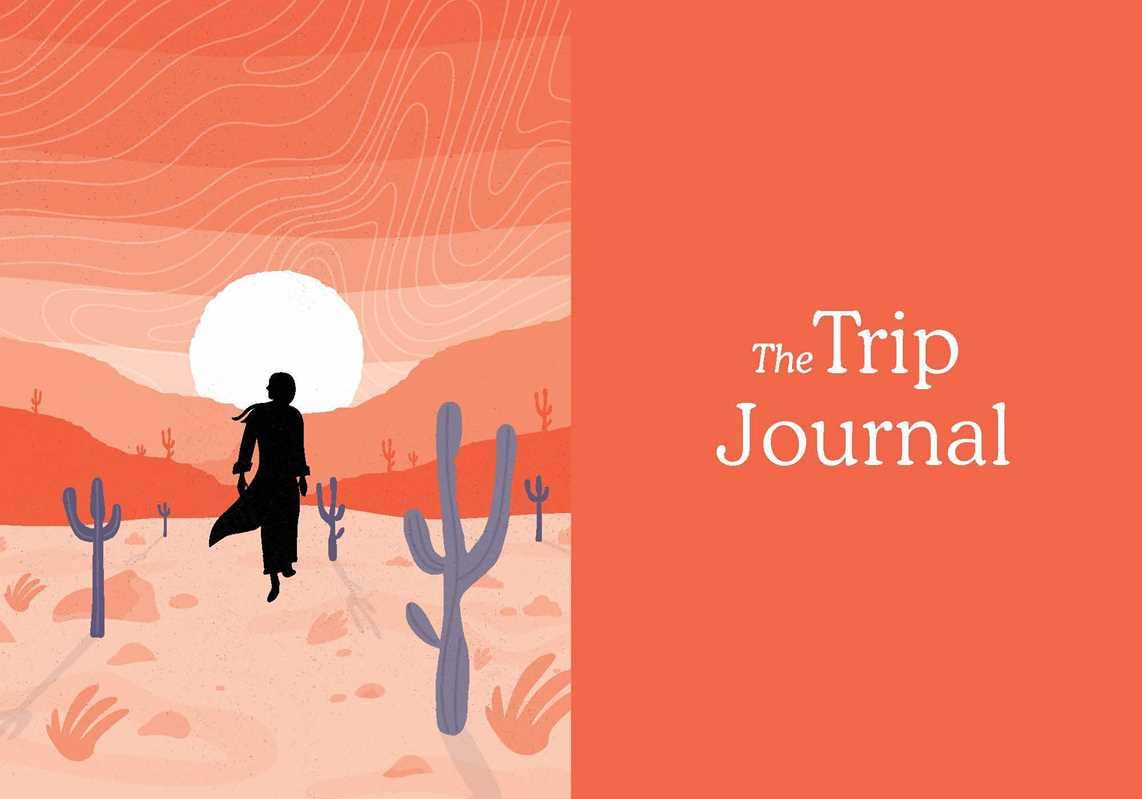 Trip Journal by Ronan Levy: Hardcover; 256 pages / English - Image 2