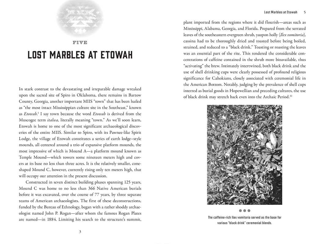 Tripping the Trail of Ghosts by P. D. Newman - Image 3