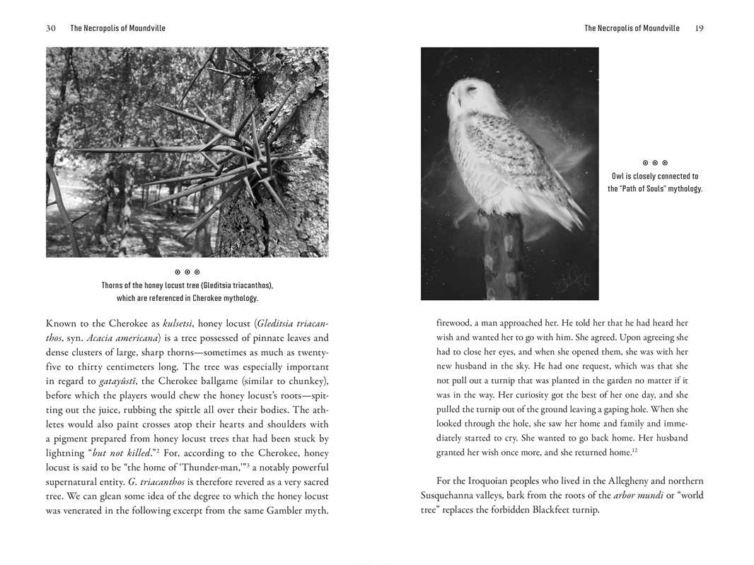 Tripping the Trail of Ghosts by P. D. Newman - Image 6
