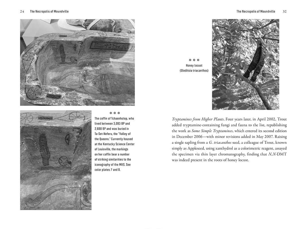 Tripping the Trail of Ghosts by P. D. Newman - Image 9