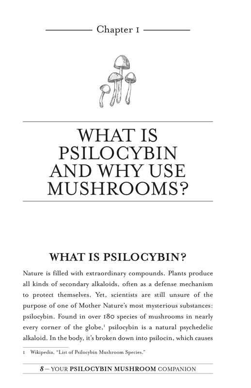 Your Psilocybin Mushroom Companion by Michelle Janikian - Image 2