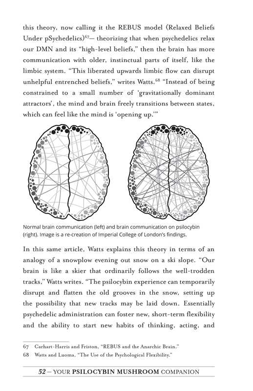 Your Psilocybin Mushroom Companion by Michelle Janikian - Image 4